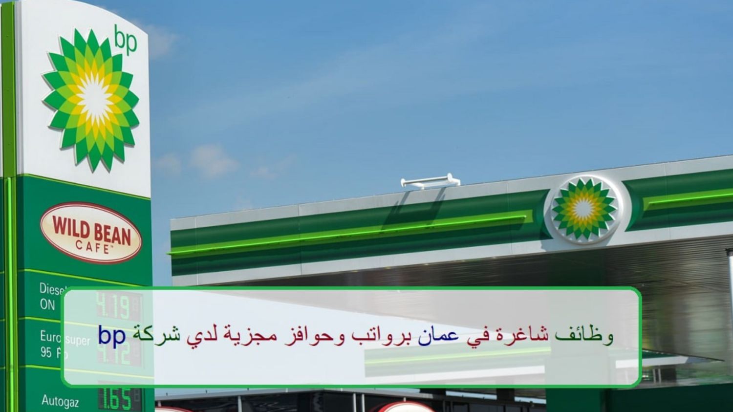 وظائف راقية في شركة البترول BP للجنسين بسلطنة عمان وبمختلف التخصصات .. شروط وطريقة التقديم 