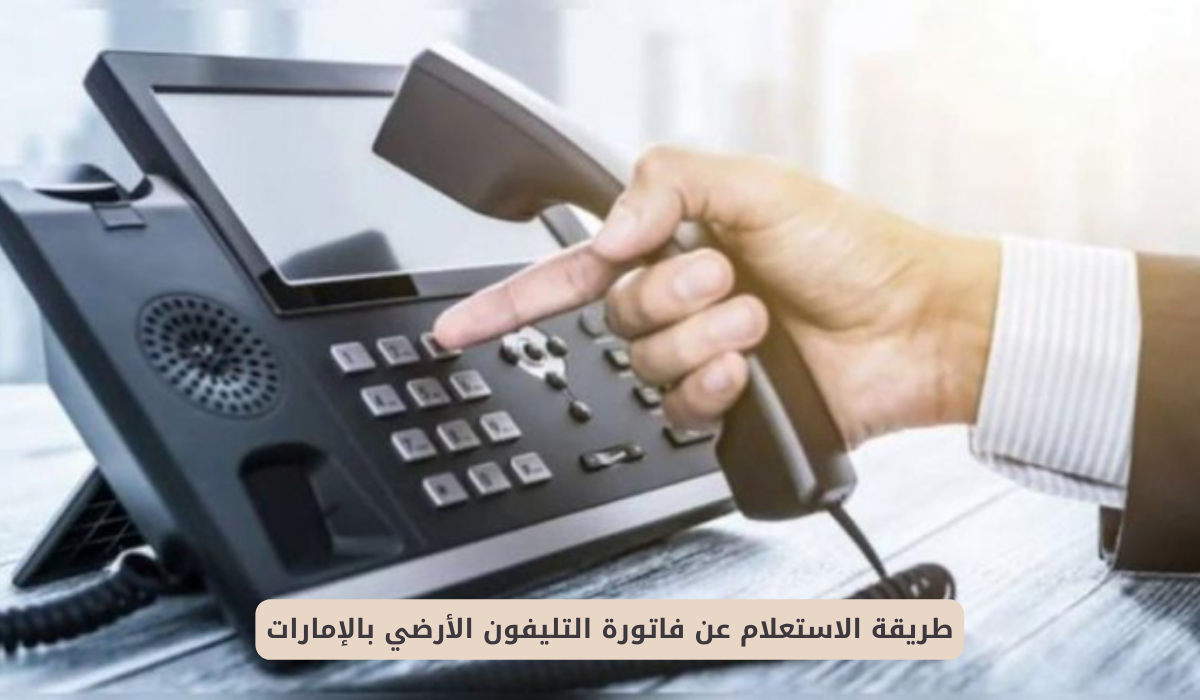 خدمات شركة الإمارات للاتصالات