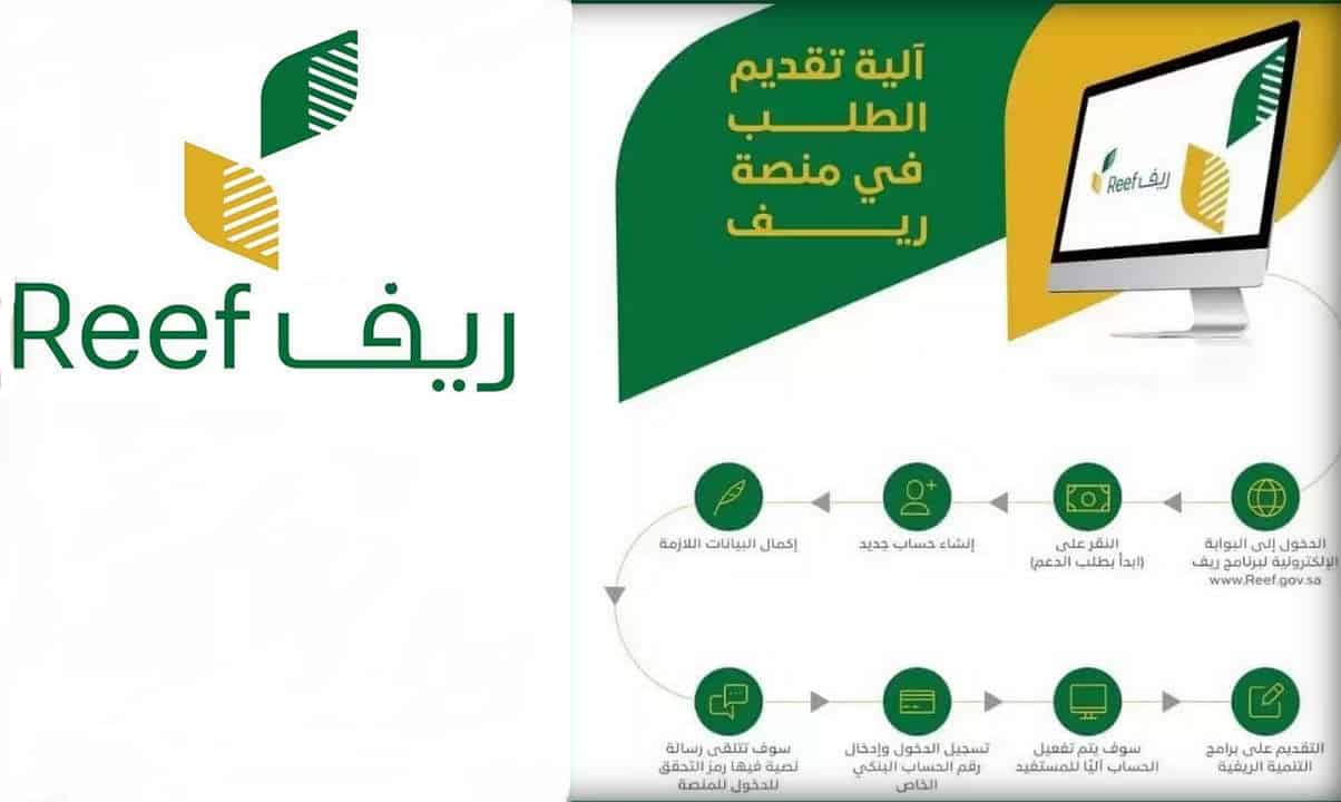 هل دعم ريف يؤثر على الضمان الاجتماعي