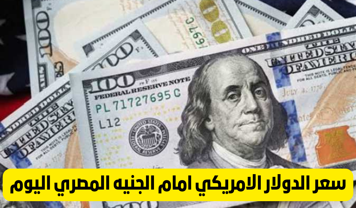 سعر الدولار اليوم مقابل الجنيه المصري