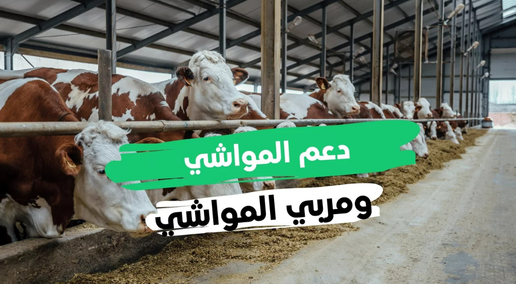 طلب دعم صغار مربي الماشية